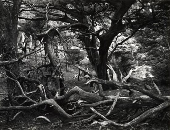 brettweston brettweston
