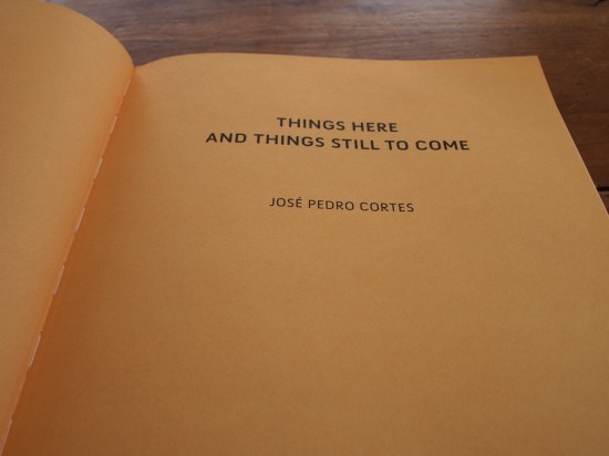 José Pedro Cortes