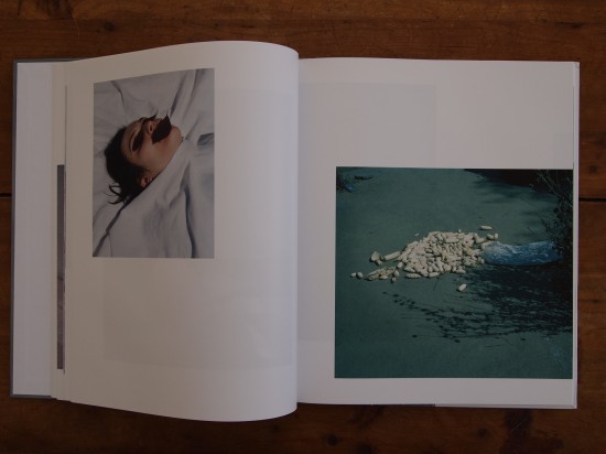Viviane Sassen