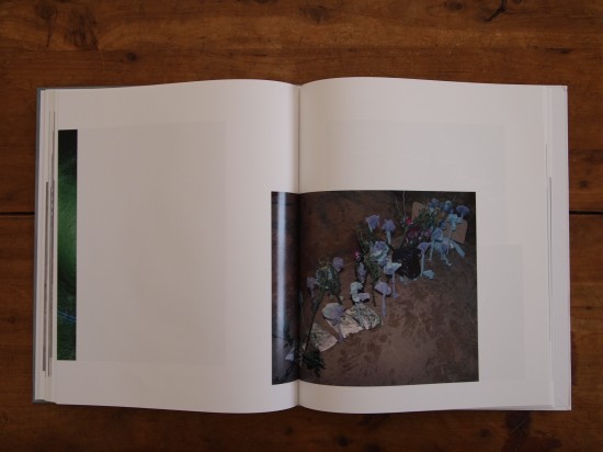 Viviane Sassen