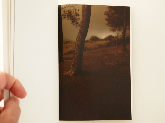 Miquel LLonch