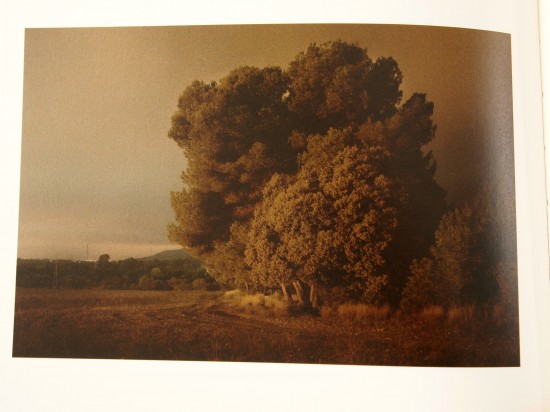 Miquel LLonch