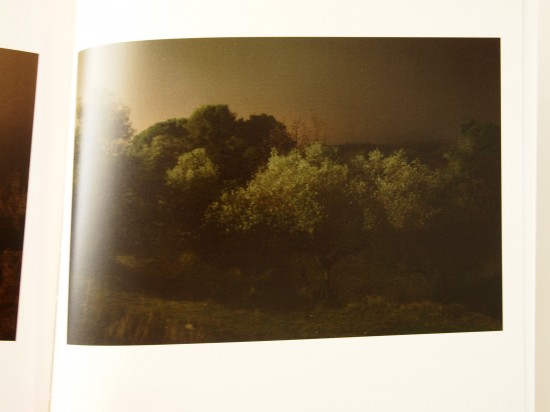 Miquel LLonch
