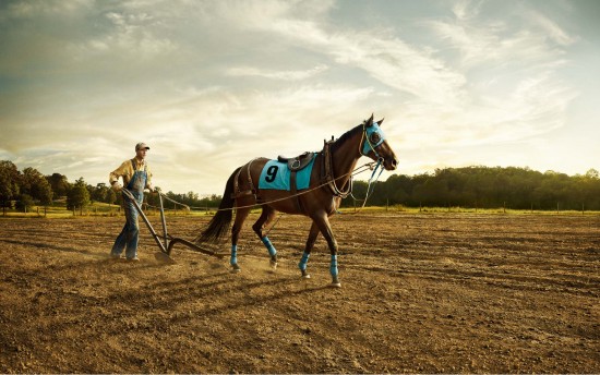 cpahorse