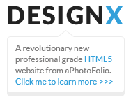 APhotoFolio - Websites For Professionals