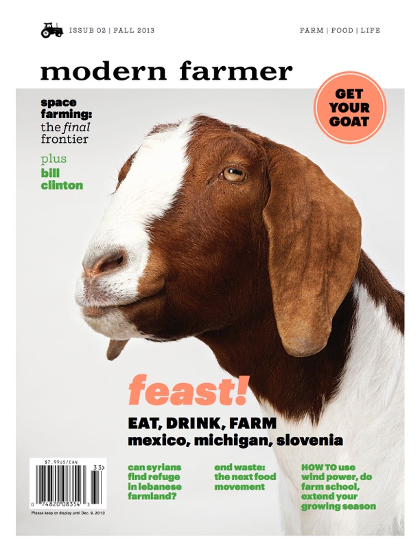 Fall 2013_goat cover